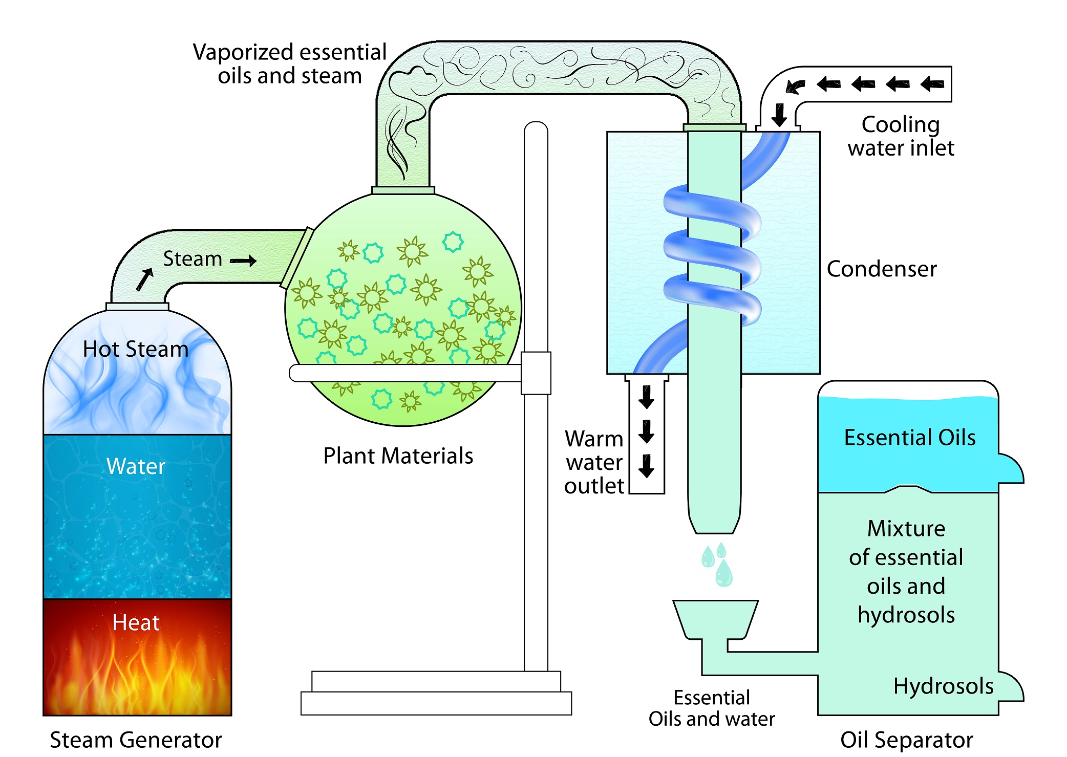 Essential oils by steam distillation фото 8